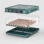 Bandeja para incubadora de 48 huevos